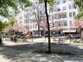 Böhmischer Platz / Richardplatz